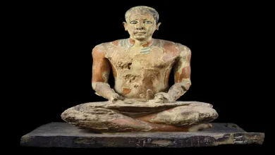 صورة باحث مصري يكشف بالأدلة: من الذي سرق 700 ألف سنة من تاريخ مصر؟