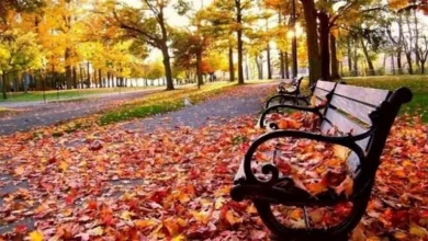صورة “نظرية أكتوبر”.. الخريف أفضل وقت لخسارة الوزن