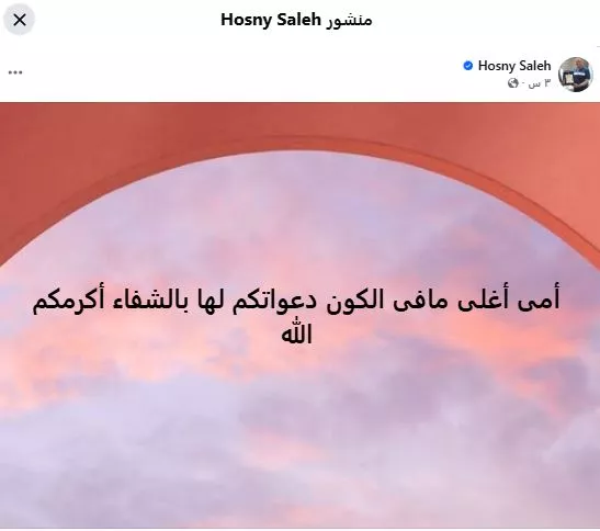 حسني صالح
