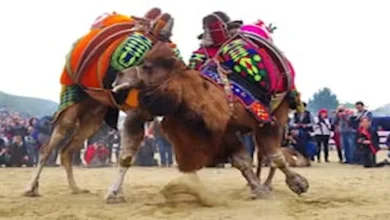 صورة منها أكل رماد الموتى.. أغرب 10 تقاليد حول العالم
