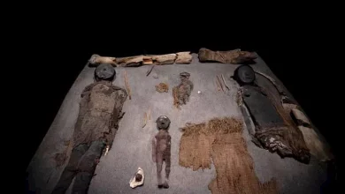 صورة شاهد وجوه 4 مومياوات بعد قرون من الدفن وإزالة أقنعة الموت.. صور