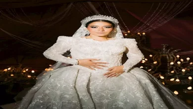 صورة تصدرت التريند بسبب حفل زفافها.. من هي دينا هشام ابنة الدكتورة هبة قطب؟