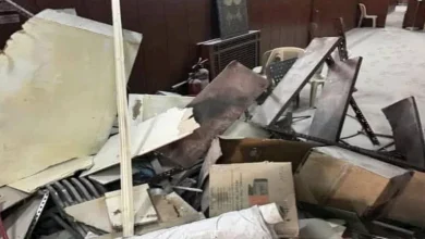 صورة “أنعى الموسيقى في بلادي”.. سلاف فواخرجي تعلق على تدمير معهد الموسيقى ف