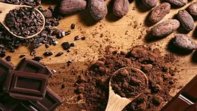 صورة 800 جنيه للكيلو.. أسعار الكاكاو تقفز بنسبة 100% خلال عام