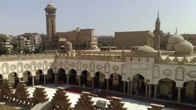 صورة ملتقى بالأزهر: حرمة النفس البشرية مطلقة ولا تقتصر على المسلمين