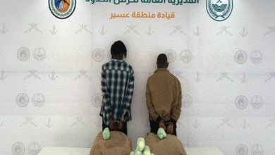 صورة القبض على مخالفين لنظام أمن الحدود لتهريبهما 40 كيلوجرامًا من القات بعسير  أخبار السعودية