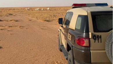 صورة «الأمن البيئي» يضبط مواطناً لارتكابه مخالفة رعي في محمية الإمام عبدالعزيز بن محمد الملكية  أخبار السعودية