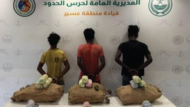 صورة «حرس الحدود» يقبض على 3 مخالفين لنظام أمن الحدود لتهريبهم 60 كيلوغراماً من القات بعسير  أخبار السعودية