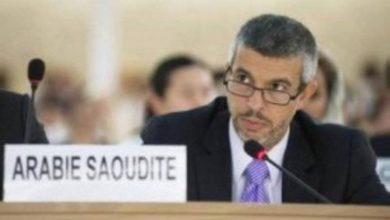 صورة مجموعة «التعاون الإسلامي» تدين الإرهاب وتشدّد على احترام سيادة الدول  أخبار السعودية