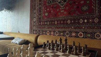 صورة طالبات طيبة يحققن ذهبية الشطرنج في بطولة اتحاد الجامعات  أخبار السعودية