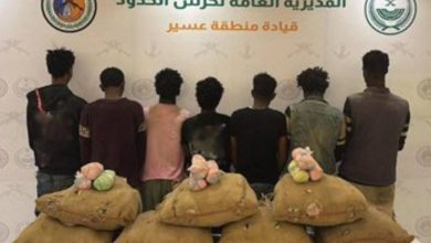 صورة عسير: القبض على 7 مخالفين لتهريبهم 105 كيلوغرامات من القات  أخبار السعودية