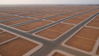 صورة إدراج الأراضي الموروثة ضمن رسوم «البيضاء»  أخبار السعودية