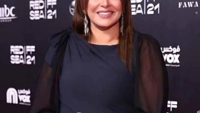 صورة نجاة الفنانة هالة صدقي من حادثة ونقل سائقها إلى المستشفى  أخبار السعودية