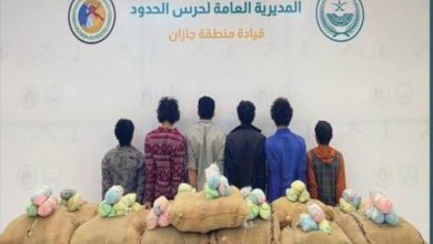صورة جازان: إحباط تهريب 260 كيلوغراماً من نبات القات المخدر  أخبار السعودية