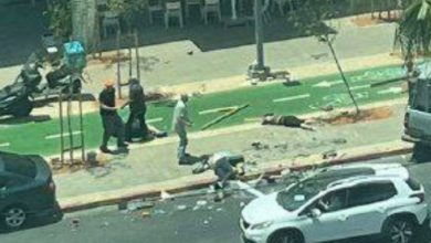 صورة خلاف على فتاة ينتهي بكارثة.. أب ينتقم لابنه ويدهس عائلة كاملة في مصر  أخبار السعودية