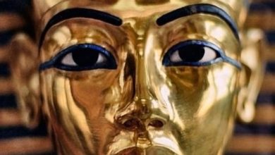 صورة كارثة محتملة في وادي الملوك.. هل ستفقد مصر إرث توت عنخ آمون ؟  أخبار السعودية