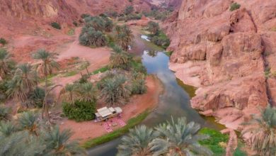 صورة حائل.. من مشهد الطبيعة إلى شاشة العالم  أخبار السعودية