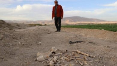 صورة | سوريا: العثور على مقبرة جماعية بحي السحاري في درعا