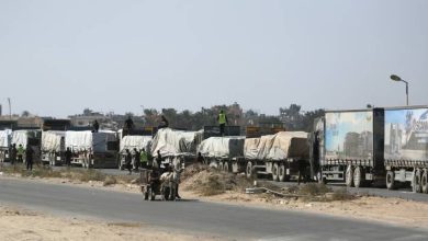 صورة | الأمم المتحدة: إدخال أكثر من 24 ألف طن من المساعدات إلى غزة منذ بدء وقف إطلاق النار