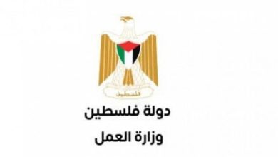 صورة وزارة العمل توضح آلية الاستفادة من المشاريع التشغيلية الجديدة في المحافظات الجنوبية