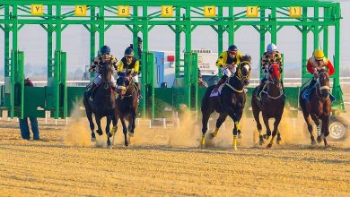 صورة ميدان سباقات الخيل بنجران يُنظّم اليوم حفل سباقه الـ12 للموسم الحالي