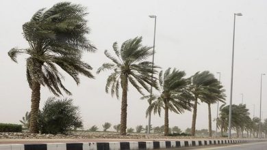 صورة “الأرصاد” تنبه من رياح نشطة على منطقة الحدود الشمالية