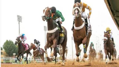 صورة اليوم.. ميدان سباقات الخيل بنجران يُنظّم حفل سباقه العاشر للموسم الحالي