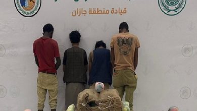 صورة القبض على 4 مخالفين من الجنسية الإثيوبية لتهريبهم 140 كيلوجرامًا القات بجازان