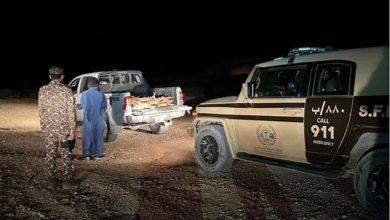 صورة ضبط مواطن مخالف لنظام البيئة لنقله حطبًا محليًا في منطقة الرياض