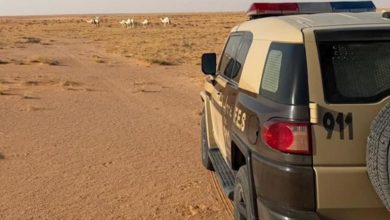 صورة ضبط مواطن لارتكابه مخالفة رعي في محمية الإمام عبدالعزيز بن محمد الملكية