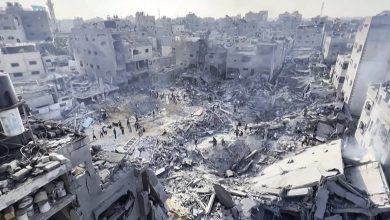 صورة وزير الخارجية المصري يبحث آخر التطورات وجهود وقف الحرب في غزة مع نائب رئيس فلسطين