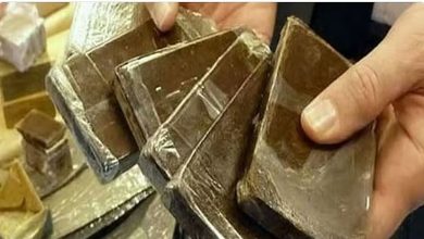 صورة القبض على 4 مخالفين من الجنسية اليمنية لتهريبهم الحشيش وأقراص مخدرة بجازان