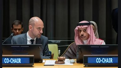 صورة أستاذ علوم سياسية: المبادرة السعودية