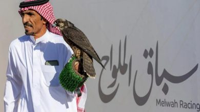 صورة انطلاق أول أشواط سباق الملواح بمعرض الصقور والصيد السعودي الدولي 2025