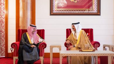 صورة وزير الخارجية يبحث تعزيز العلاقات مع ملك البحرين