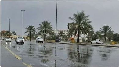 صورة طقس المملكة الثلاثاء.. أمطار رعدية ورياح نشطة على عدة مناطق