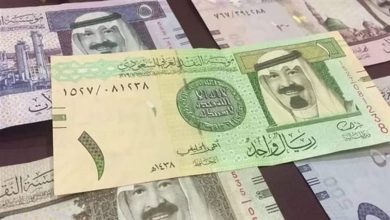 صورة سعر الريال مقابل الجنيه المصري والعملات العربية اليوم الخميس 1741447