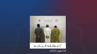 صورة القبض على مواطن ومقيم ووافد من الجنسية الباكستانية لترويجهم الشبو في الباحة