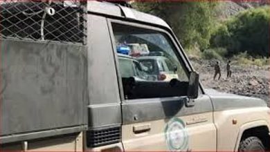 صورة القبض على مواطن بجازان لترويجه 9 كيلوجرامات من نبات القات