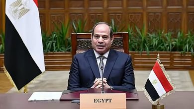 صورة مصر لن تقف مكتوفة الأيدي أمام النهج الإثيوبي غير المسؤول