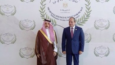 صورة الرئيس المصري يستقبل وزير الخارجية فور وصوله للمشاركة بقمة شرم الشيخ