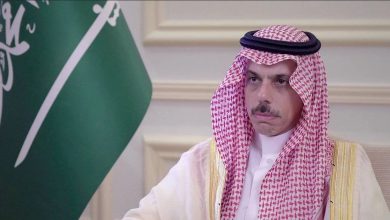 صورة وزير الخارجية يبحث العلاقات الثنائية مع نائب رئيس الوزراء الباكستاني