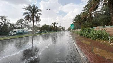 صورة الوسم.. موسم التغيرات المناخية والبشائر الزراعية