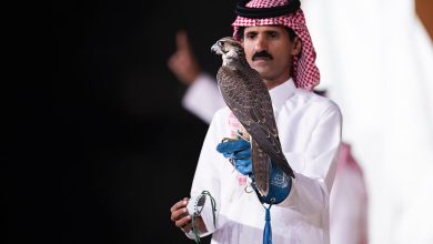 صورة بيع شاهين فرخ في الليلة الـ 15 لمزاد نادي الصقور السعودي 2025