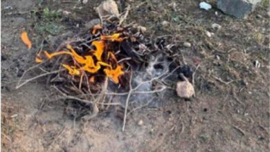 صورة ضبط يمني لإشعاله النار في غير الأماكن المخصصة لها بمحمية الإمام فيصل بن تركي الملكية