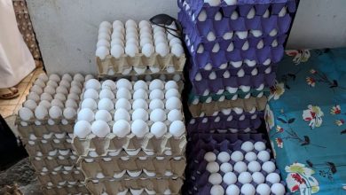 صورة أمانة جدة تضبط موقعين لتعبئة البيض وتعديل تواريخ الصلاحية وتتلف أكثر من 69 ألف منتج فاسد