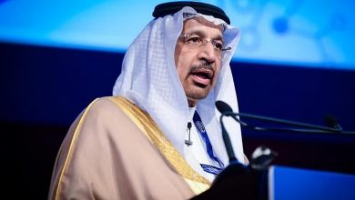 صورة البطالة تراجعت من 30% إلى 7%