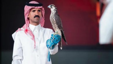 صورة بيع شاهين فرخ بـ136 ألف ريال في الليلة الـ14 لمزاد نادي الصقور السعودي 2025