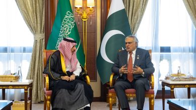 صورة وزير الخارجية يبحث مستجدات الأوضاع الإقليمية والدولية مع نظيره الباكستاني