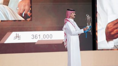 صورة بيع أغلى شاهين فرخ حتى الآن في الليلة الـ 17 لمزاد نادي الصقور السعودي 2025